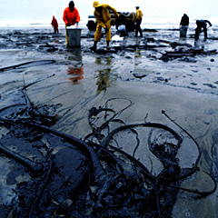 oil spill cleanup
